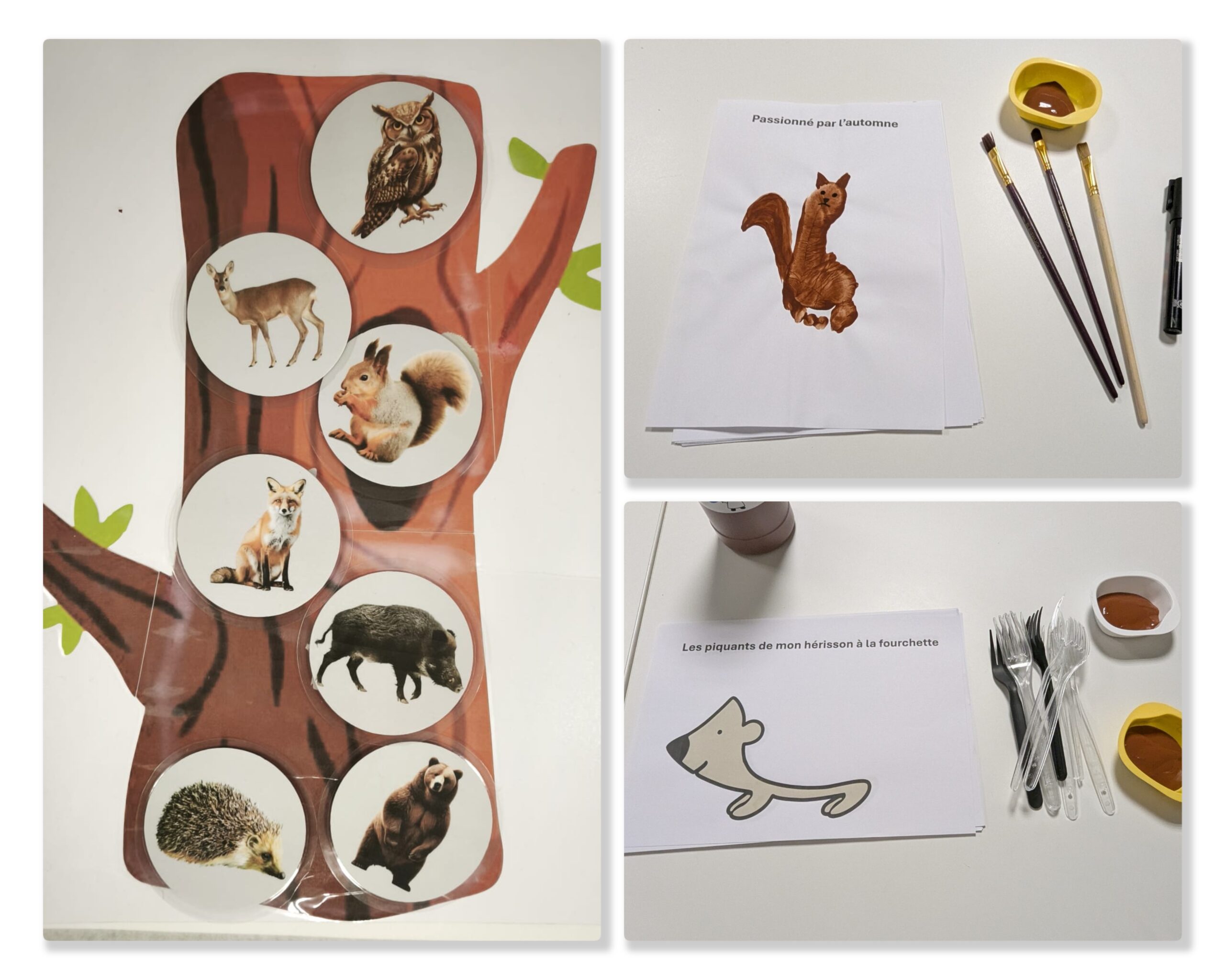 Nouvelle immersion au cœur de la forêt : séance 2