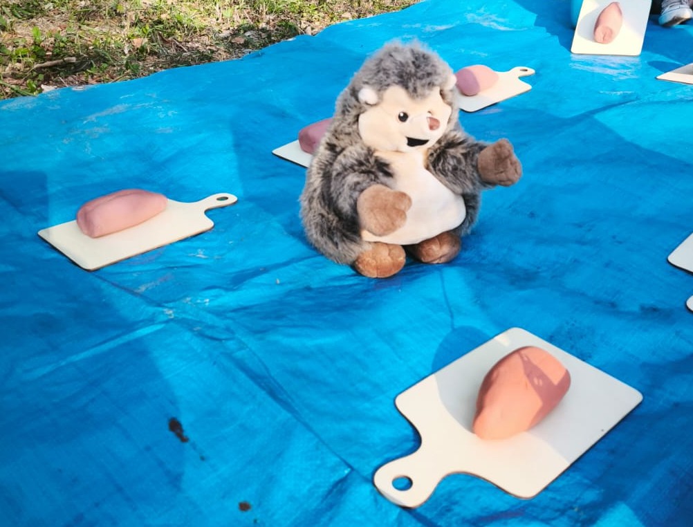 eveil et douceur activité extérieure