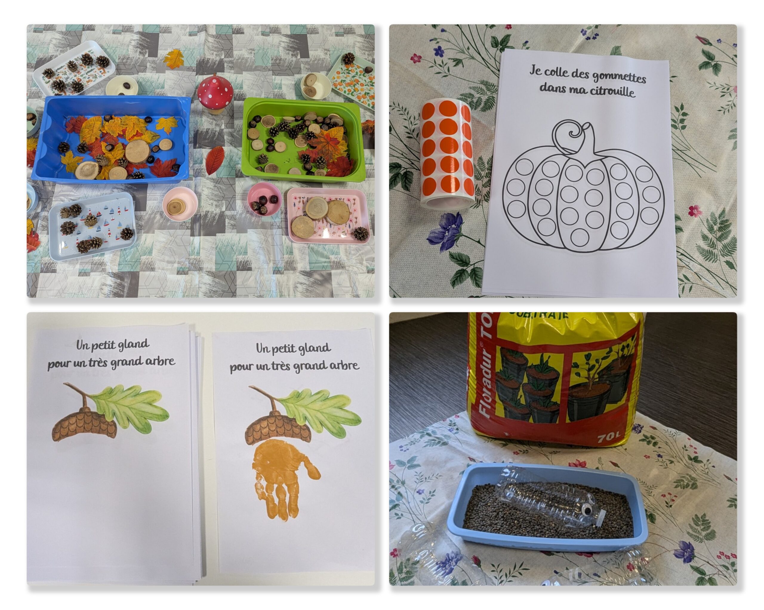 Roupi et les petites graines magiques