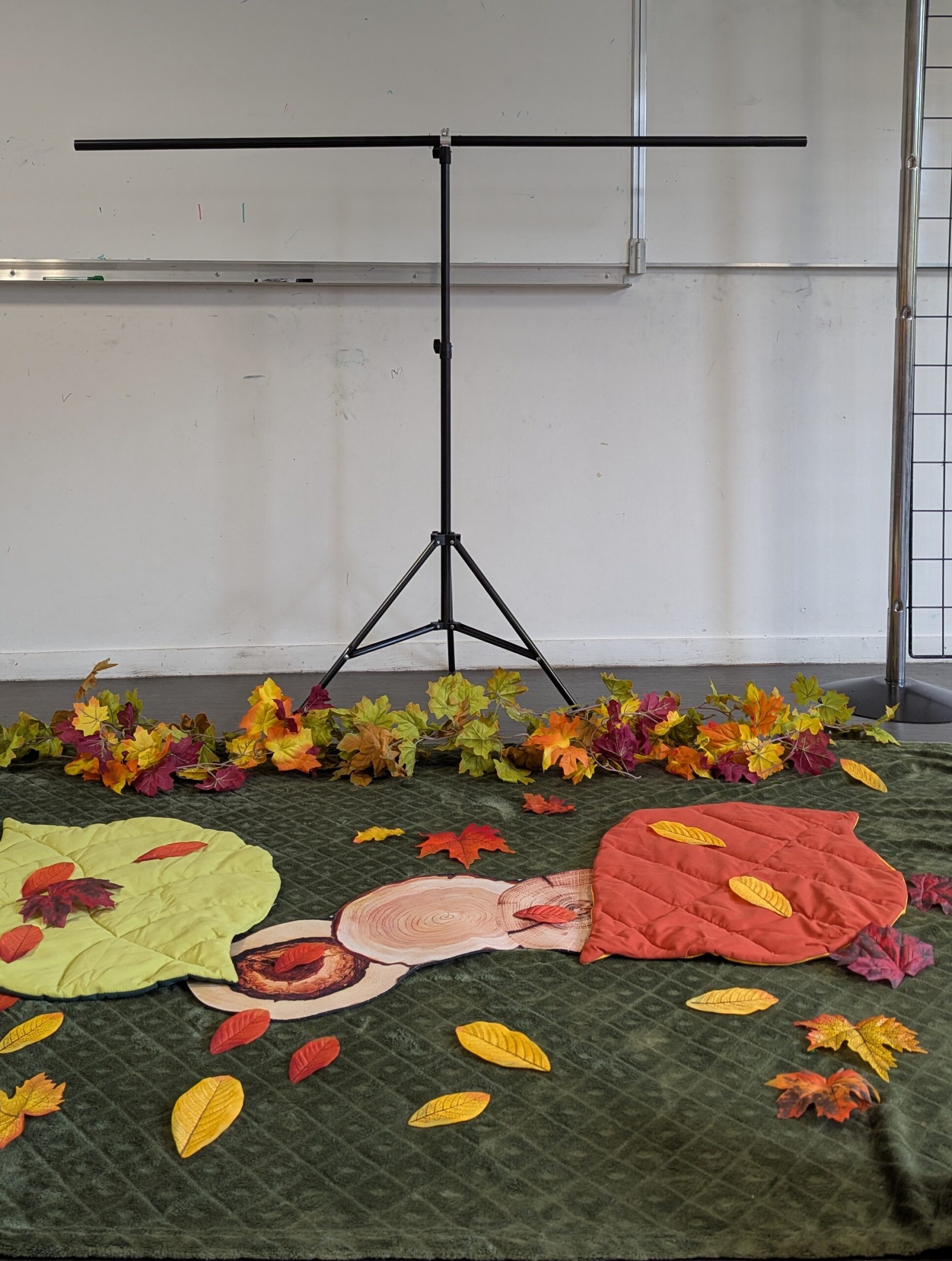 Matinée d&rsquo;automne scintillante