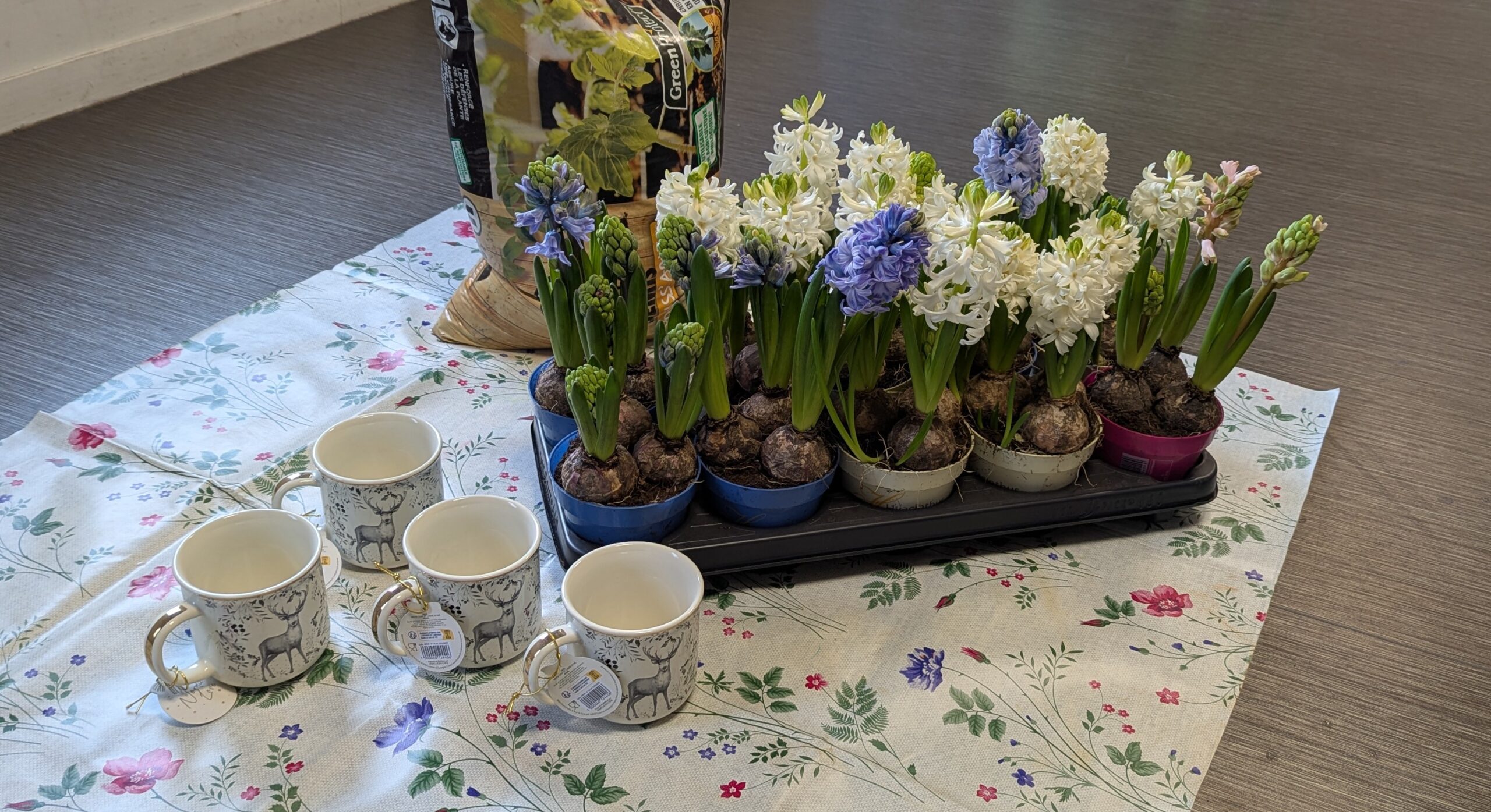 Deuxième matinée d’hiver chaleureuse, entre couleurs et nature